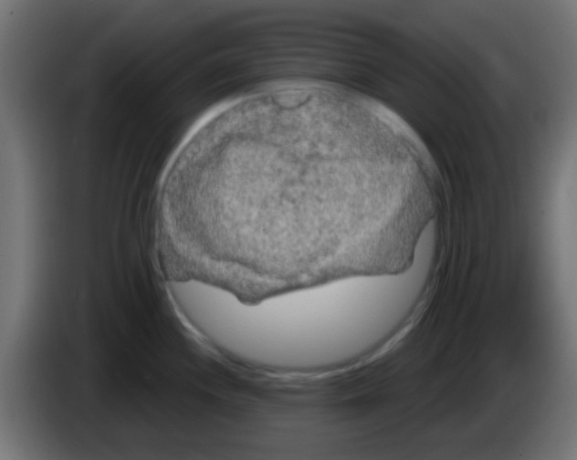 X0000083051244200703022103