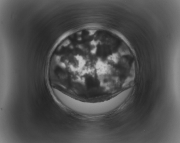 X0000083051245200703022104