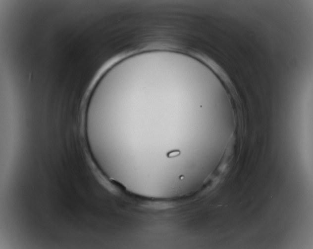 X0000083051246200703022104