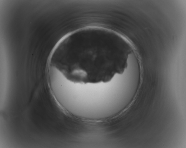 X0000083051248200703022104