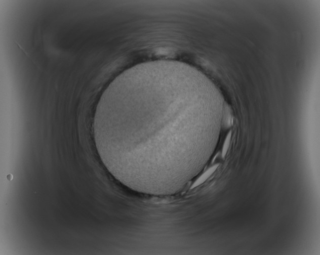 X0000083051249200703022103