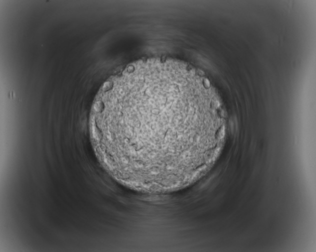 X0000083051251200703022103