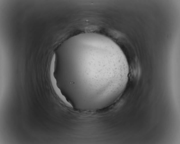 X0000083051252200703022103