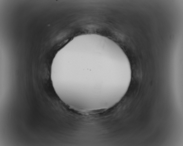 X0000083051253200703022103