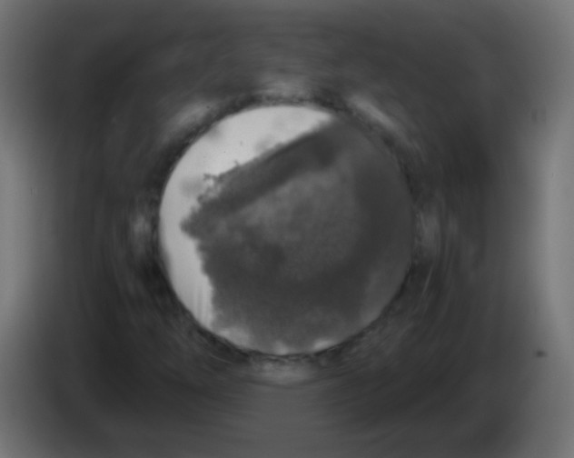 X0000083051254200703022103