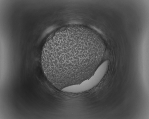 X0000083051255200703022103