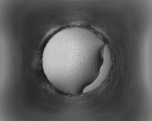 X0000083051256200703022103