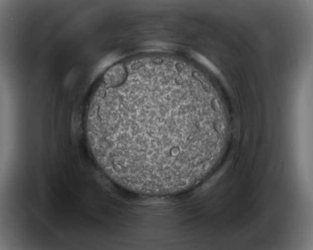 X0000083051259200703022103