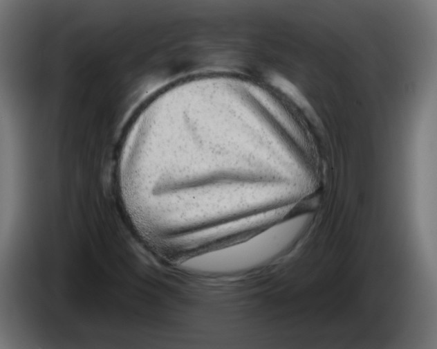 X0000083051260200703022103