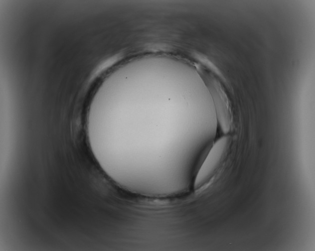 X0000083051261200703022103