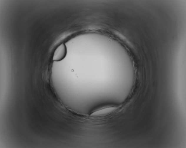 X0000083051262200703022103