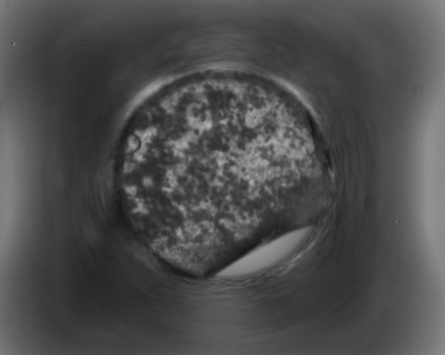 X0000083051263200703022103