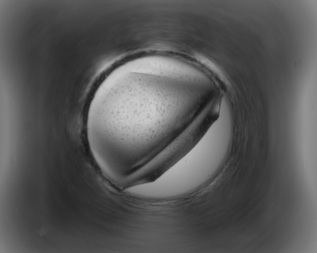 X0000083051264200703022103