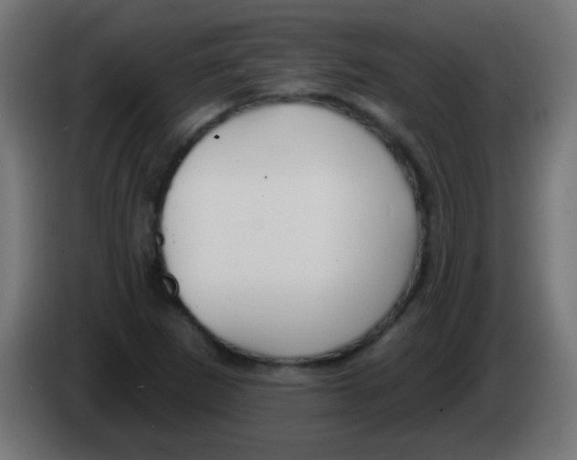 X0000083051265200703022103