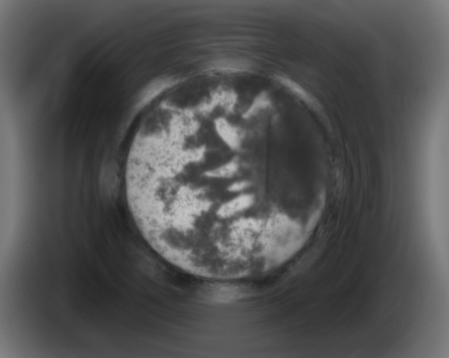 X0000083051266200703022103