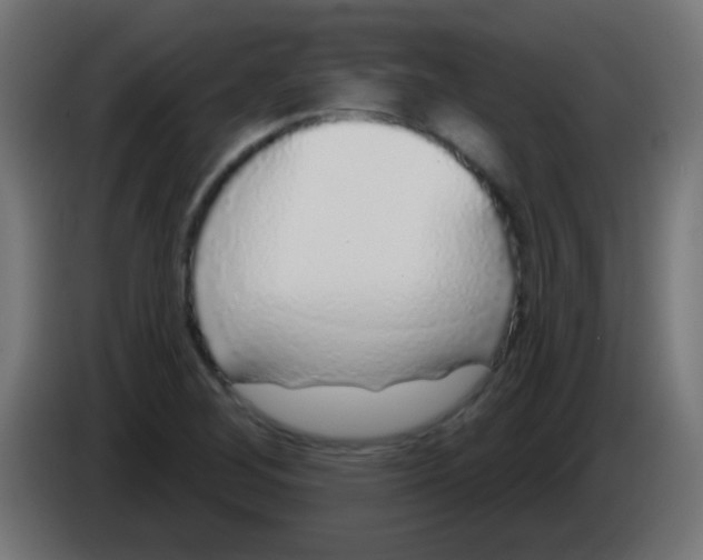 X0000083051268200703022103