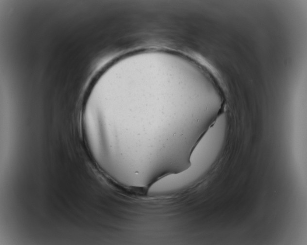 X0000083051272200703022103