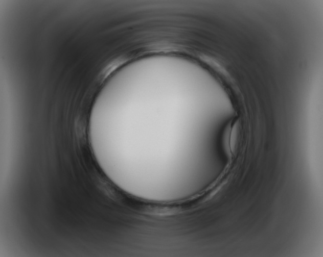 X0000083051273200703022103