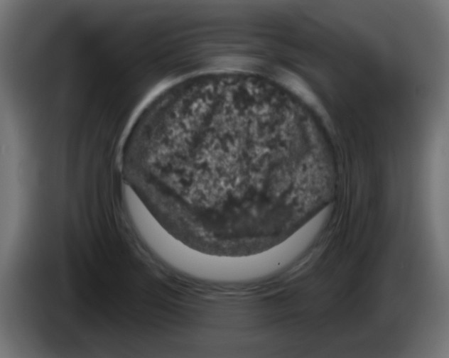 X0000083051275200703022102