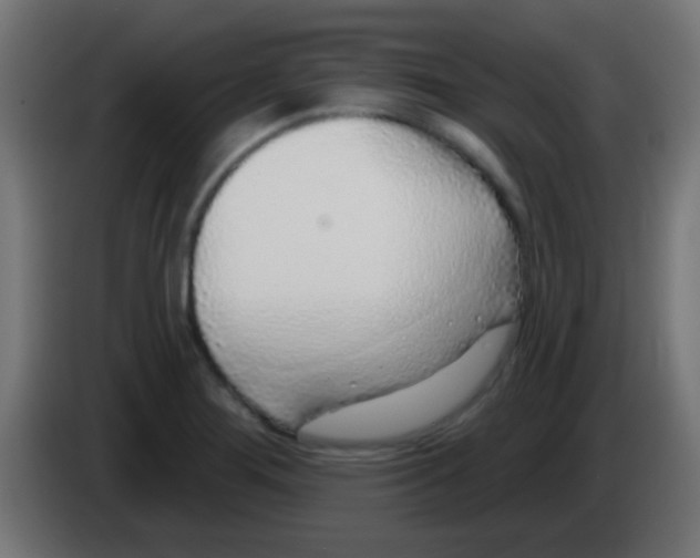 X0000083051276200703022102