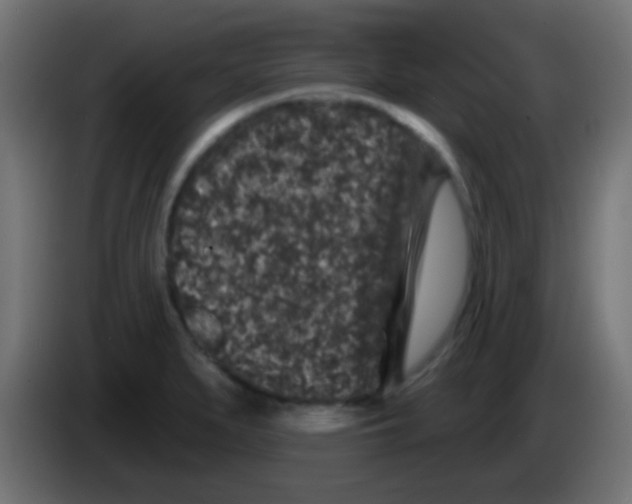 X0000083051279200703022102