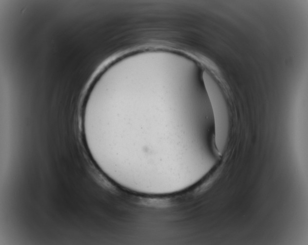 X0000083051280200703022102