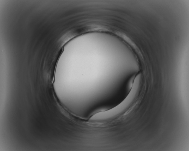 X0000083051281200703022102