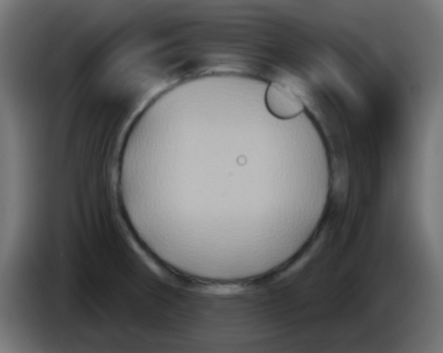 X0000083051282200703022102