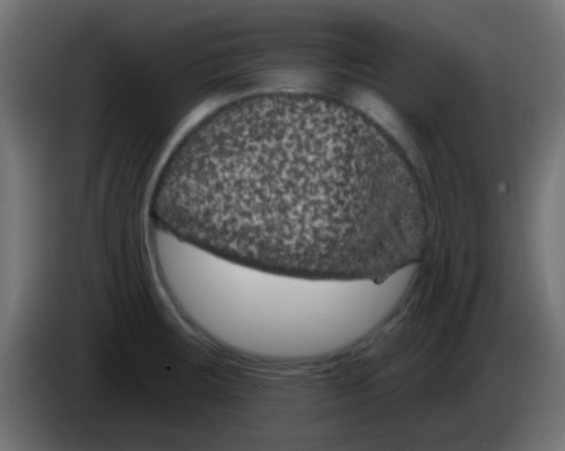 X0000083051283200703022102