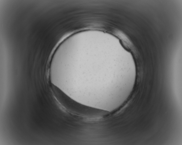 X0000083051284200703022102