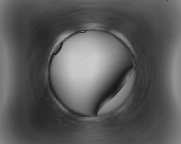 X0000083051285200703022102