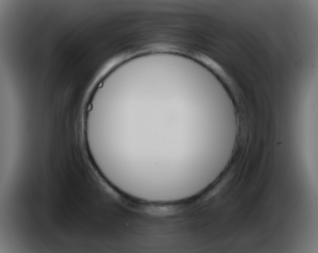 X0000083051286200703022102