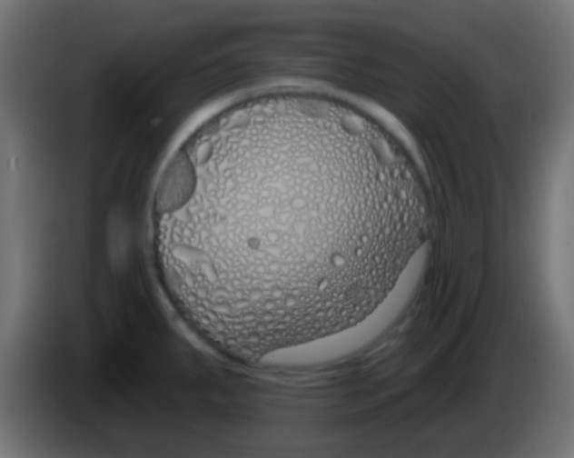 X0000083051287200703022102