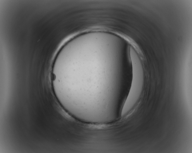 X0000083051288200703022102