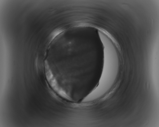 X0000083051289200703022102