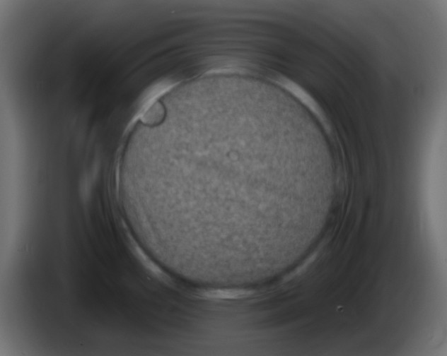 X0000083051290200703022102