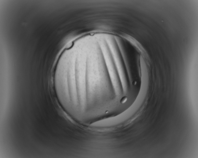 X0000083051292200703022102