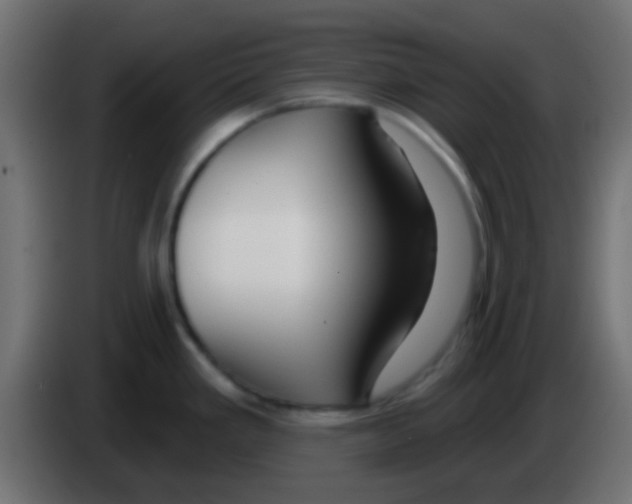 X0000083051293200703022102