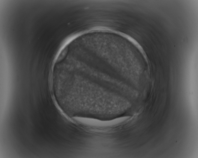 X0000083051295200703022102