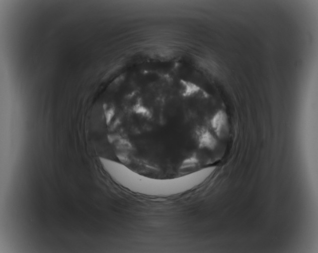 X0000083051297200703022102