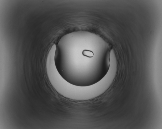 X0000083051298200703022102