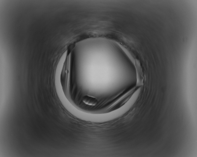 X0000083051300200703022102