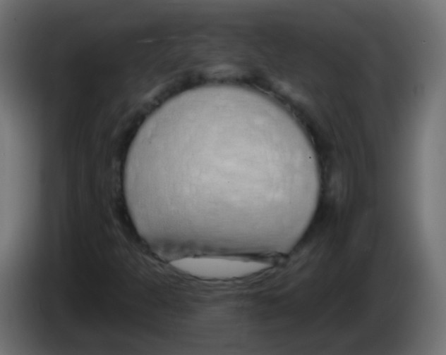 X0000083051301200703022102