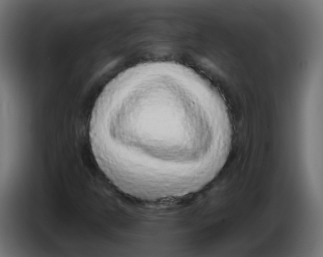 X0000083051302200703022102