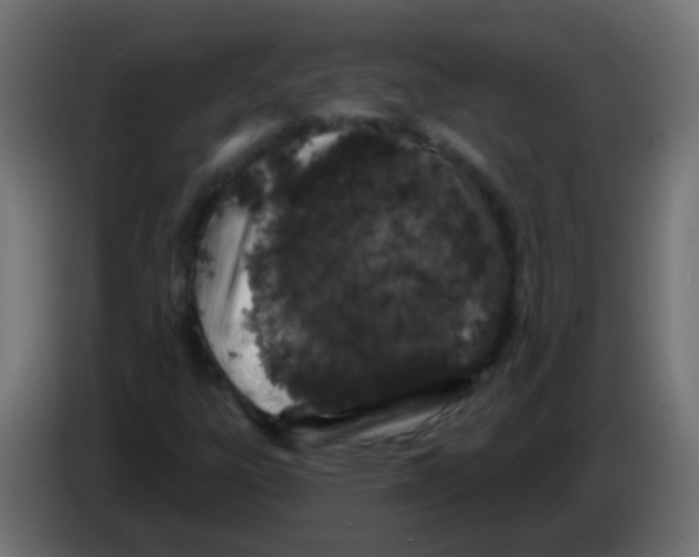 X0000083051303200703022102