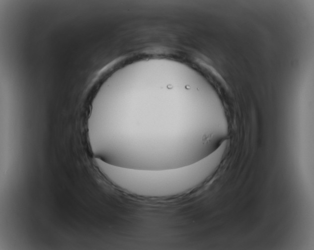 X0000083051304200703022102