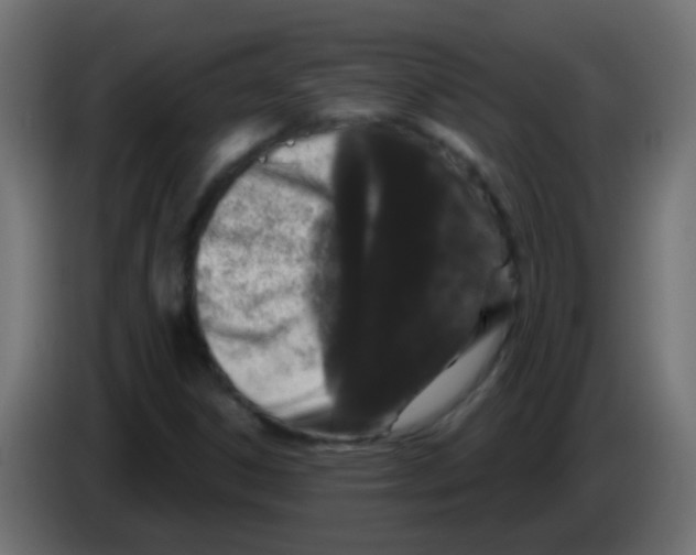 X0000083051306200703022102