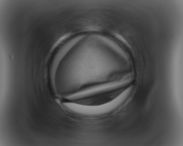 X0000083051307200703022102