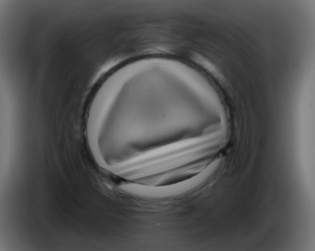 X0000083051308200703022102