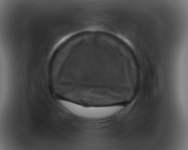 X0000083051311200703022102